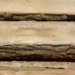 Close-up view of 52 mm unedged oak boards with bark edges stacked together.