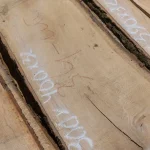 The width of 52 mm unedged oak boards starts from 20 cm