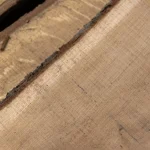 Close-up of a 52 mm unedged oak board suitable for furniture and stairs.