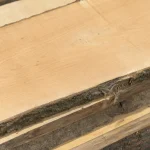 Close-up of the smooth light surface and textured bark edge of a Grade 1 unedged maple board.