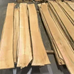 Top-down view of long unedged maple boards laid out on the warehouse floor showing their natural shapes.