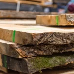 Ends of stacked unedged linden boards with green quality markings.