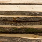 Side view of stacked unedged linden boards highlighting the natural bark texture.