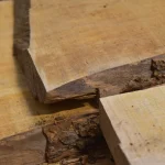Detailed close-up of the natural bark edge and cut end of an unedged alder board.
