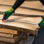 A worker measuring the width of an unedged ash board using a tape measure.
