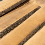 Diagonal view of several unedged ash boards showcasing their natural live edges.