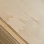Surface detail of birch FK plywood with natural wood texture