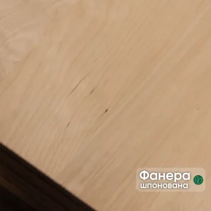 Фанера шпонована березою 16 мм B/B