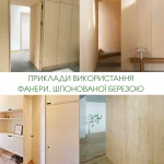 Examples of using birch veneered plywood in interior design
