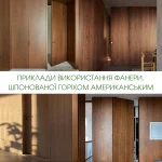 Examples of using American walnut veneered plywood in interior doors and wall panels.