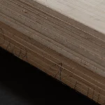 Срез слоев березовой фанеры, облицованной шпоном ясеня
