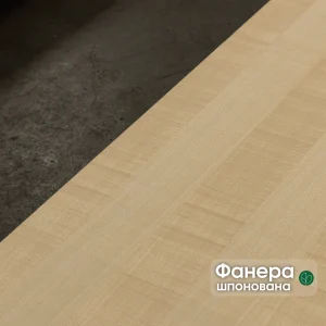Шпонована фанера ясен білий 19 мм першого сорту для меблів