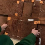 Demonstration of Amboyna burl veneer sheet in hands at the warehouse