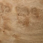 Macro photo of oak burl veneer texture with unique swirls and patterns.