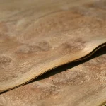 Thin edge of a 0.6 mm oak burl veneer sheet demonstrating flexibility.