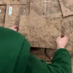 Showing a sheet of American walnut burl veneer by hand at the warehouse