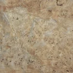 Elm burl veneer, root cuts, 0.6 mm — stack in the warehouse