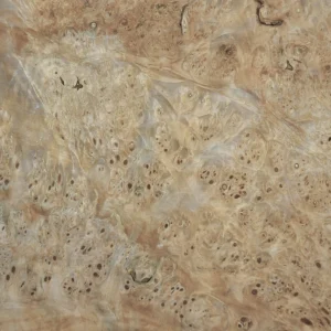 Elm burl veneer, root cuts, 0.6 mm — stack in the warehouse