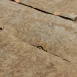 Elm burl veneer, root cuts, 0.6 mm — grain texture