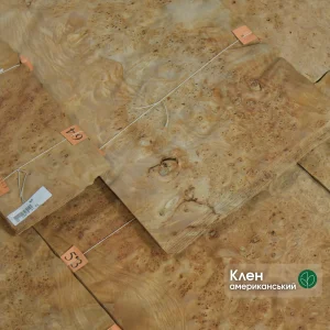 0.6 mm American maple burl veneer sheets with unique root texture
