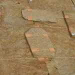 Detailed texture of American maple burl veneer showing natural root patterns