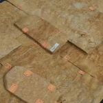 Warehouse stock of American maple burl veneer sheets
