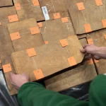 Hands holding a bundle of Myrtle burl veneer at the warehouse.