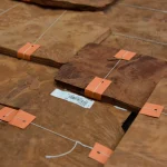 Vavona burl veneer pack with barcode and label