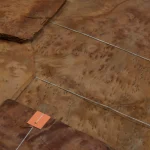 Natural texture of Vavona burl veneer close-up