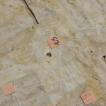 White Ash burl veneer with marking tags in the warehouse