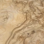 Olive ash burl veneer, single sheet, 0.6 mm