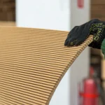 Demonstration of MDF panel thickness and flexibility in hand