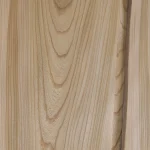 Detailed macro shot of wood grain of sliced elm veneer