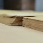 Торцы пачки строганного шпона дуба, демонстрирующие толщину 0,6 мм