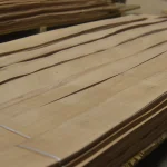 Long sheets of sliced beech veneer in bundles, top view