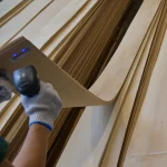 Checking the flexibility and quality of a 0.6 mm sliced alder veneer sheet.