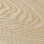 Texture of natural sliced white ash veneer with a prominent annual ring pattern