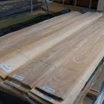 Close view of olive ash veneer grain, 0.6 mm