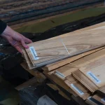 Single sheet of olive ash veneer in storage, 0.6 mm