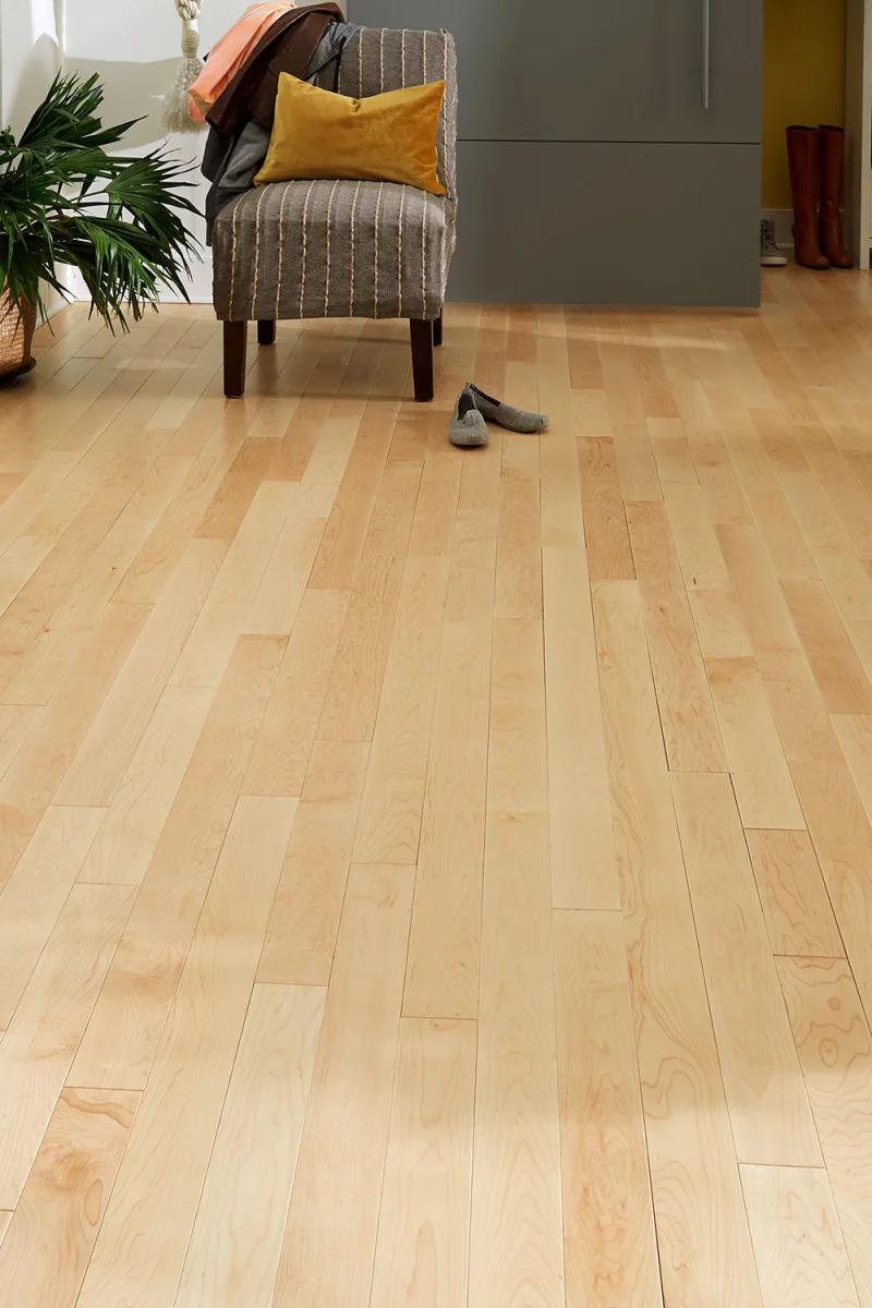 Parquet board — Sawn Maple Veneer