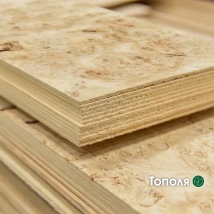 Burl poplar sawn veneer 2.5 mm thick in a stack, edge view.